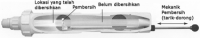 post-32552-1240251201_thumb.png