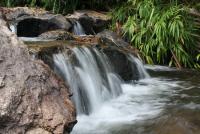 post-114729-0-59820300-1303745082_thumb.