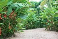 post-114729-0-67793000-1303745104_thumb.