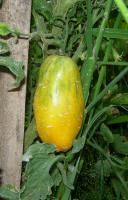 post-14625-0-37792700-1303782055_thumb.j