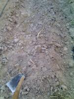 post-37242-0-81307100-1303052190_thumb.j