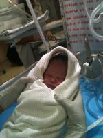 post-126029-0-32206100-1335627110_thumb.