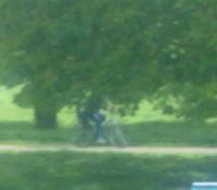 post-15852-0-14088100-1335517178_thumb.j