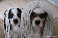 post-37101-0-79943700-1334232936_thumb.j