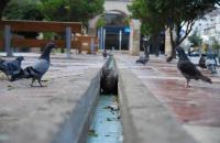 post-41194-0-32610500-1335790886_thumb.j