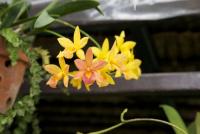 post-62520-0-31588800-1333708904_thumb.j