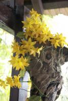 post-62520-0-40854300-1333708891_thumb.j