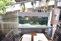 post-62520-0-90867700-1333708802_thumb.j