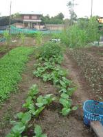 post-7176-0-79002500-1335793358_thumb.jp