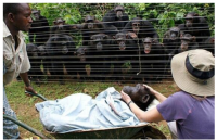 post-102811-0-27092800-1365173959_thumb.