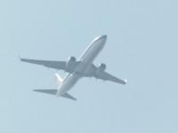 post-104736-0-52822500-1365808884_thumb.