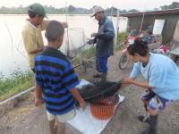 post-104736-0-63331500-1367269764_thumb.