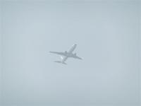 post-104736-0-63333600-1365480916_thumb.