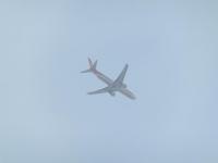 post-104736-0-93520100-1366933987_thumb.