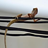 post-12069-0-23223900-1367149565_thumb.j