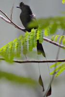 post-12069-0-37270500-1366348958_thumb.j