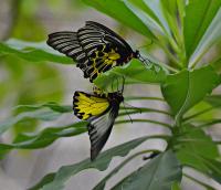 post-12069-0-85644500-1366786434_thumb.j