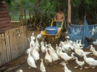 post-126208-0-08482900-1366531286_thumb.