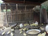 post-126208-0-09750300-1366531722_thumb.