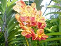 post-126208-0-11555100-1365311395_thumb.