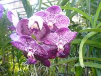 post-126208-0-13118500-1365311393_thumb.