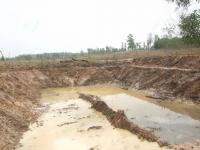 post-126208-0-19431600-1365310604_thumb.