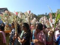 post-126208-0-29711200-1367312330_thumb.