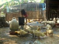 post-126208-0-95315000-1366531284_thumb.