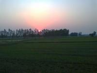 post-140056-0-96031300-1366430237_thumb.