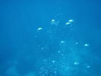 post-140342-0-09230900-1366169078_thumb.