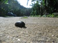 post-140342-0-15760100-1366169341_thumb.