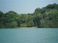 post-140342-0-31157200-1366170982_thumb.