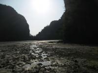 post-140342-0-33878800-1366169924_thumb.