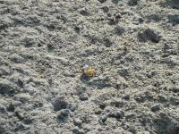 post-140342-0-54383900-1366169826_thumb.