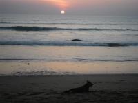 post-140342-0-63259300-1366166594_thumb.