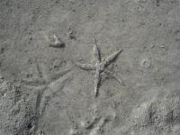 post-140342-0-64489600-1366169712_thumb.