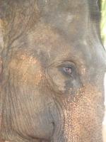 post-140342-0-73527100-1366170622_thumb.