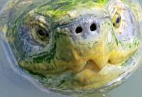 post-177556-0-43670300-1366554171_thumb.