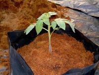 post-37242-0-38004800-1365778938_thumb.j