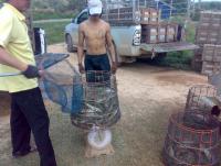 post-42398-0-23918100-1364994772_thumb.j