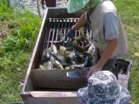 post-42398-0-24787000-1364994403_thumb.j