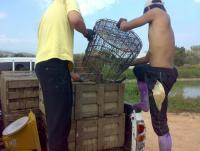 post-42398-0-44043900-1364994794_thumb.j