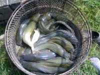 post-42398-0-65010800-1364994456_thumb.j