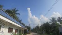 post-70928-0-91995100-1366980491_thumb.j