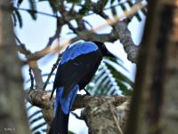 post-12069-0-01553100-1397637064_thumb.j