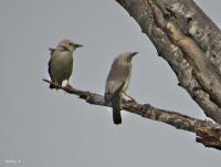 post-12069-0-56541600-1397308167_thumb.j