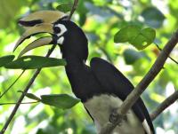 post-12069-0-64240800-1396681620_thumb.j