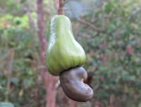 post-12069-0-74173500-1396703521_thumb.j