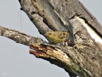 post-12069-0-83238700-1396955946_thumb.j