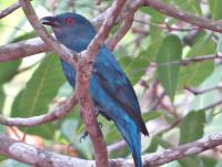 post-12069-0-85861800-1397636968_thumb.j